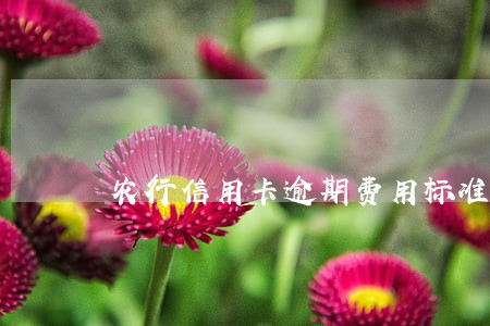 农行信用卡逾期费用标准 农行信用卡逾期费用标准