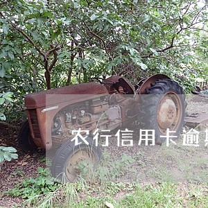 农行信用卡逾期过影响吗