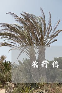 农行信用卡逾期还款5个月