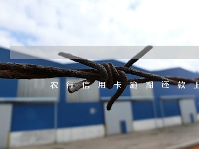 农行信用卡逾期还款上征信吗 农行信用卡逾期还款上征信吗