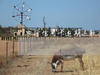 农行信用卡逾期还款会提醒吗 农行信用卡逾期还款会提醒吗