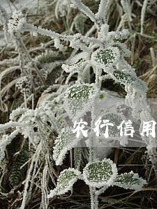 农行信用卡逾期还款没提示 农行信用卡逾期还款没提示