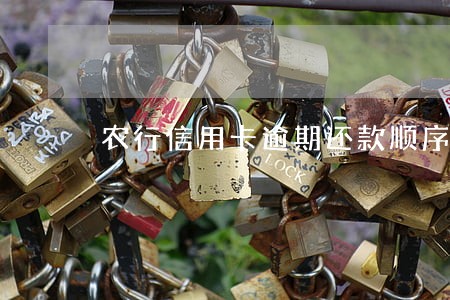 农行信用卡逾期还款顺序 农行信用卡逾期还款顺序