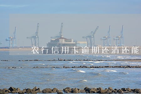 农行信用卡逾期还清还能再用吗 农行信用卡逾期还清还能再用吗