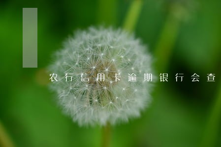 农行信用卡逾期银行会查你财产 农行信用卡逾期银行会查你财产