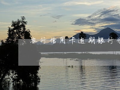 农行信用卡逾期银行催款 农行信用卡逾期银行催款