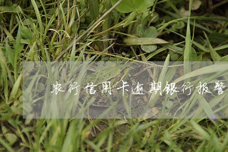 农行信用卡逾期银行报警 农行信用卡逾期银行报警