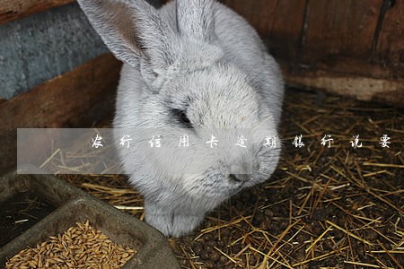 农行信用卡逾期银行说要报案 农行信用卡逾期银行说要报案