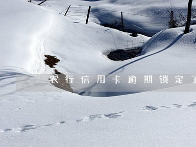 农行信用卡逾期锁定了