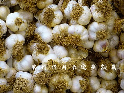 农行信用卡逾期额度
