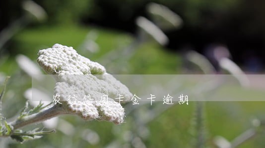 农行信用卡金卡逾期 农行信用卡金卡逾期