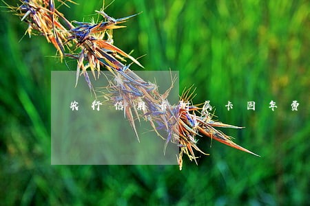 农行信用卡附属卡因年费逾期 农行信用卡附属卡因年费逾期