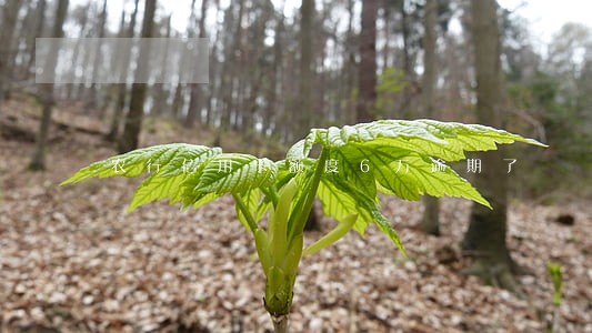 农行信用卡额度6万逾期了