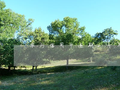 农行信用币逾期2个月 农行信用币逾期2个月