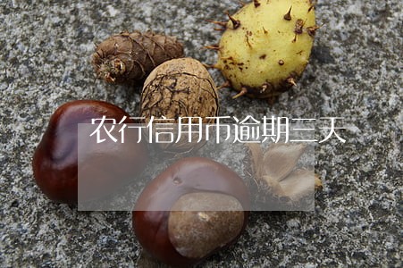 农行信用币逾期三天