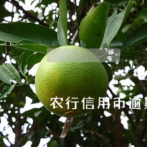 农行信用币逾期严重6 农行信用币逾期严重6