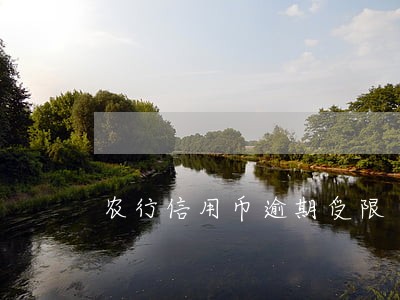 农行信用币逾期受限 农行信用币逾期受限