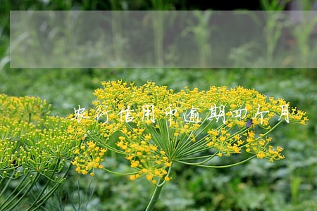 农行信用币逾期四个月 农行信用币逾期四个月