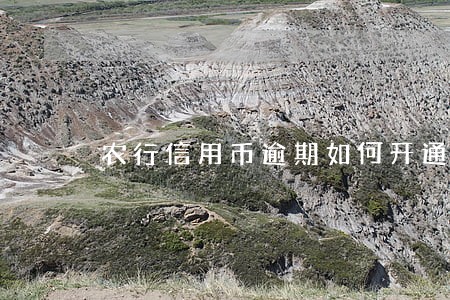 农行信用币逾期如何开通 农行信用币逾期如何开通