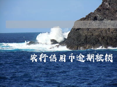 农行信用币逾期被锁 农行信用币逾期被锁
