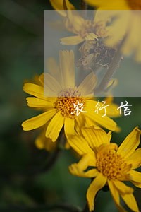 农行信用年费卡逾期 农行信用年费卡逾期