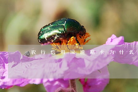 农行信用没逾期卡为什么一直降额 农行信用没逾期卡为什么一直降额