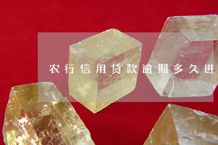 农行信用贷款逾期多久进不良 农行信用贷款逾期多久进不良