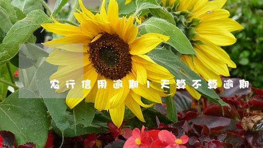 农行信用逾期1天算不算逾期 农行信用逾期1天算不算逾期