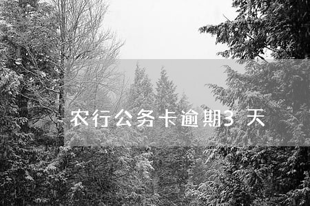 农行公务卡逾期3天