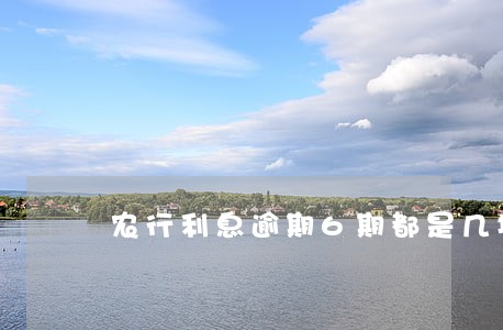 农行利息逾期6期都是几块