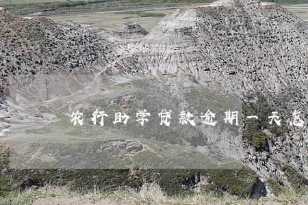 农行助学贷款逾期一天怎么还