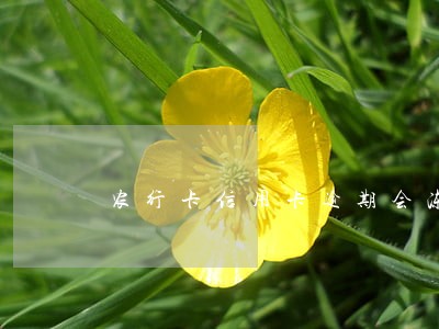 农行卡信用卡逾期会冻结储蓄卡吗
