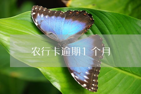 农行卡逾期1个月 农行卡逾期1个月