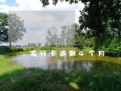 农行卡逾期4个月 农行卡逾期4个月