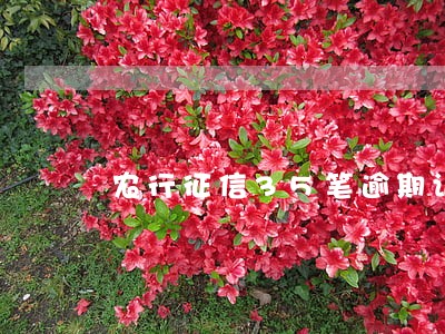农行征信35笔逾期记录如何消除