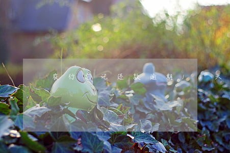 农行忘记还款逾期10天 农行忘记还款逾期10天