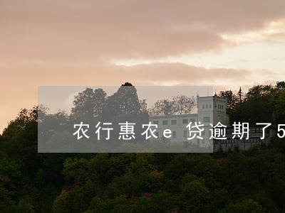 农行惠农e贷逾期了5天 农行惠农e贷逾期了5天