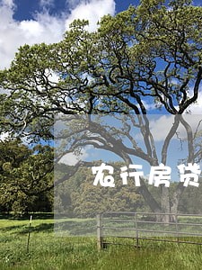 农行房贷早上7点还款会逾期吗 农行房贷早上7点还款会逾期吗