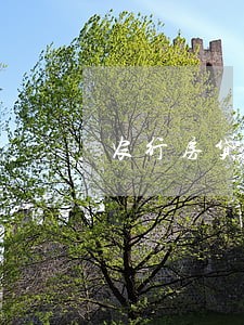 农行房贷每个月都逾期20天 农行房贷每个月都逾期20天