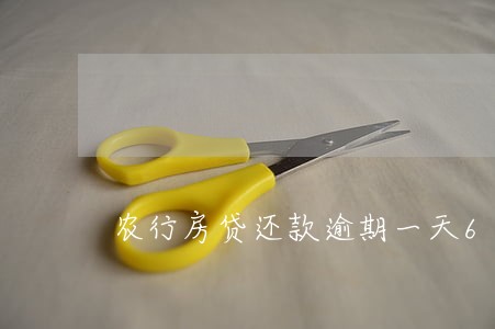 农行房贷还款逾期一天6 农行房贷还款逾期一天6