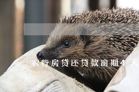 农行房贷还贷款逾期4天