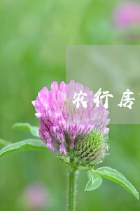 农行房贷还贷逾期1天 农行房贷还贷逾期1天