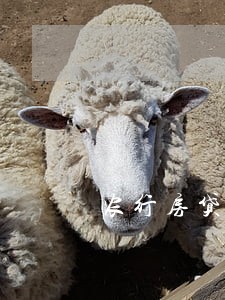 农行房贷连续3个月逾期 农行房贷连续3个月逾期