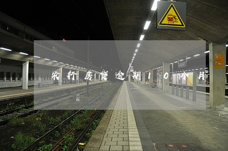 农行房贷逾期10个月 农行房贷逾期10个月