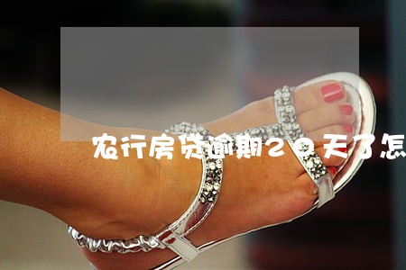农行房贷逾期20天了怎么办 农行房贷逾期20天了怎么办