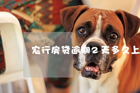 农行房贷逾期2天多久上征信 农行房贷逾期2天多久上征信