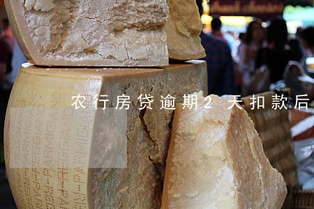 农行房贷逾期2天扣款后 农行房贷逾期2天扣款后