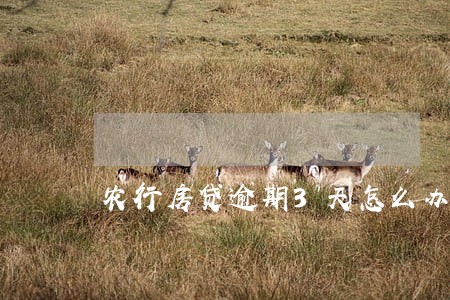 农行房贷逾期3天怎么办 农行房贷逾期3天怎么办