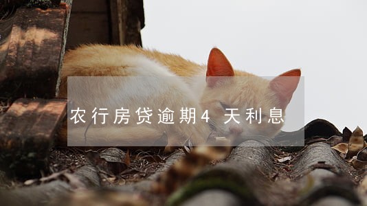 农行房贷逾期4天利息 农行房贷逾期4天利息