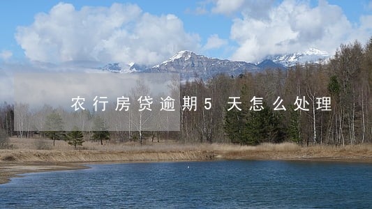 农行房贷逾期5天怎么处理 农行房贷逾期5天怎么处理
